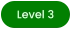 Level 3
