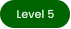 Level 5