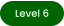 Level 6