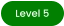 Level 5
