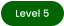 Level 5