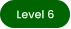 Level 6