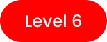 Level 6