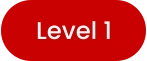 Level 1