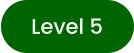 Level 5