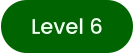 Level 6