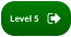 Level 5