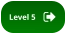 Level 5