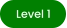 Level 1