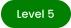 Level 5