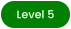 Level 5