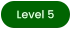 Level 5
