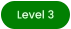 Level 3