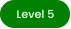 Level 5