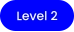 Level 2