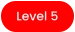 Level 5