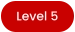 Level 5