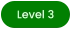 Level 3
