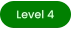 Level 4