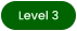 Level 3