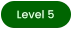 Level 5