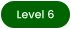 Level 6